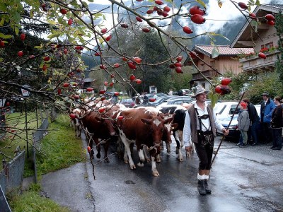 Holiday apartment Alp vacation house Julia - Environment photo 19