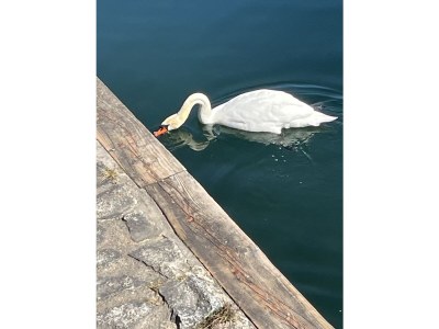 Holiday house Casa di Carlo - Environment photo 34