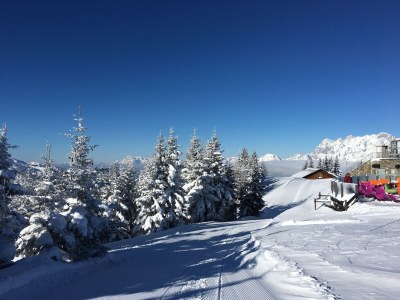 Chalet Arnoldhof Family Puschnik - Environment photo 18