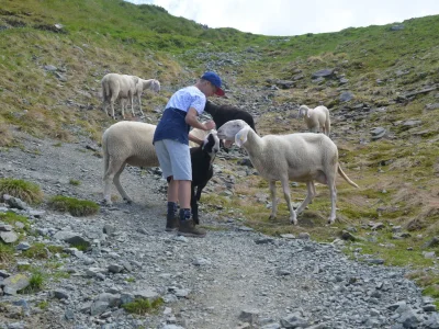 Chalet Arnoldhof Family Puschnik - Environment photo 28