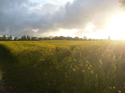 Holiday house Brausewind - Environment photo 18