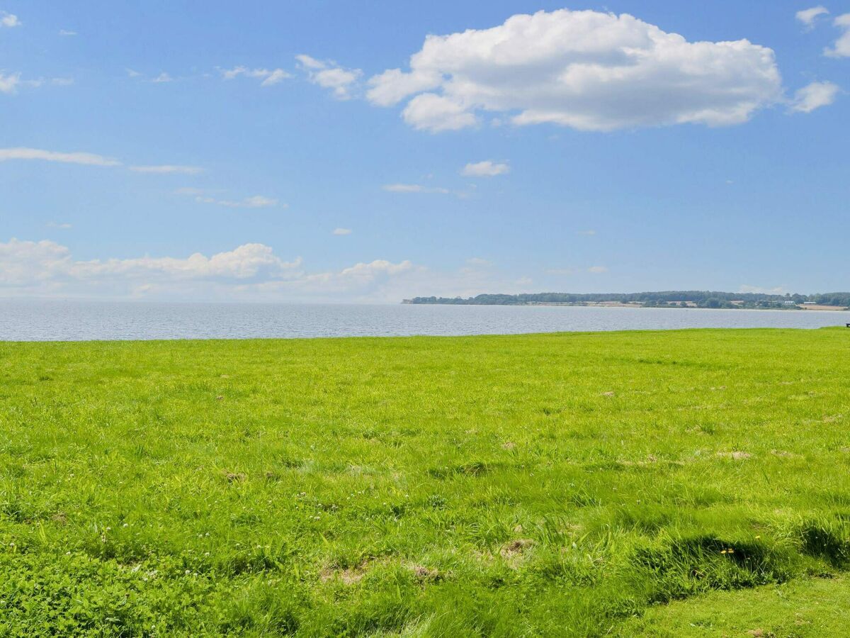 Holiday house 8 Personen Ferienhaus in Haderslev-By Traum - Outdoor photo 4