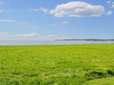 Holiday house 8 Personen Ferienhaus in Haderslev-By Traum - Outdoor photo 4