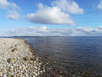 Holiday house 8 Personen Ferienhaus in Haderslev-By Traum - Outdoor photo 11