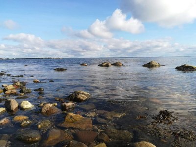 Holiday house 8 Personen Ferienhaus in Haderslev-By Traum - Outdoor photo 13