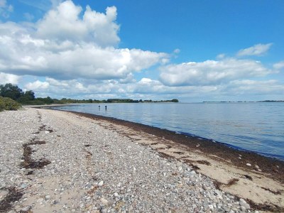 Holiday house 8 Personen Ferienhaus in Haderslev-By Traum - Outdoor photo 21
