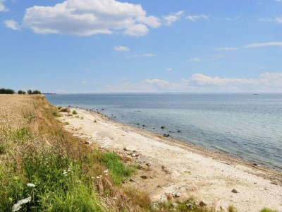 Holiday house 8 Personen Ferienhaus in Haderslev-By Traum - Outdoor photo 38