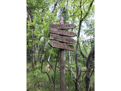 Holiday apartment Brioni - Outdoor photo 19