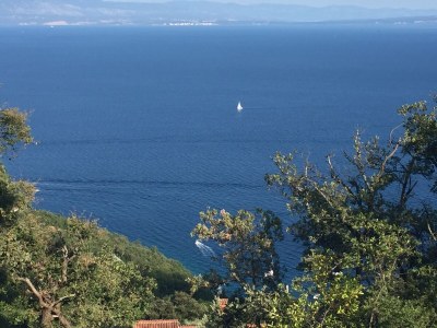 Holiday apartment Brioni - Features photo 33