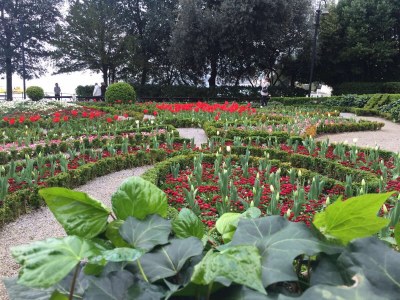 Holiday apartment Brioni - Environment photo 39