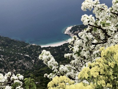 Holiday apartment Brioni - Environment photo 40