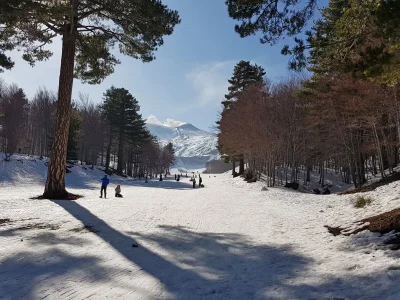 Holiday house Villa Archimede - Environment photo 21