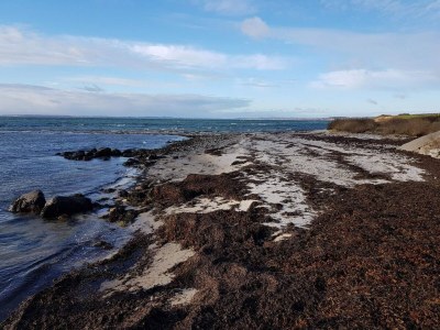 Holiday house Luxus-Ruckzug am Meer -- By Traum Ferienwohnungen - Outdoor photo 8