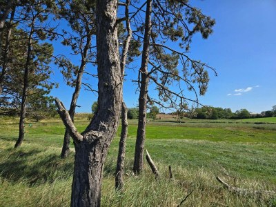 Holiday house Luxus-Ruckzug am Meer -- By Traum Ferienwohnungen - Outdoor photo 15