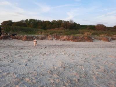Holiday house Luxus-Ruckzug am Meer -- By Traum Ferienwohnungen - Outdoor photo 17