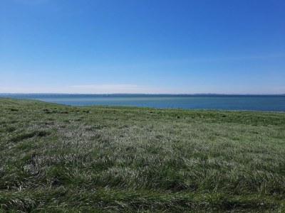 Holiday house Luxus-Ruckzug am Meer -- By Traum Ferienwohnungen - Outdoor photo 26