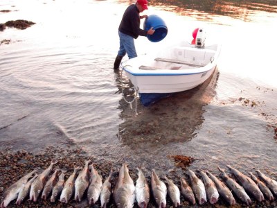Holiday house 6 Personen Ferienhaus in ENGAVÅGEN-By Traum - Outdoor photo 15