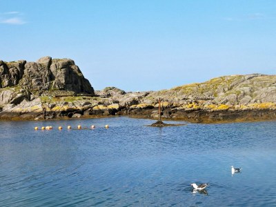 Holiday house 6 Personen Ferienhaus in Leirvik i Sogn-By Traum - Outdoor photo 33