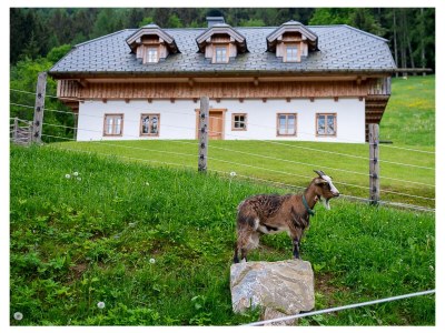 Holiday apartment Infanglalm "Attersee" - Outdoor photo 8