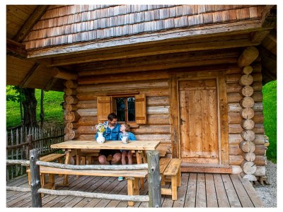 Holiday apartment Infanglalm "Attersee" - Outdoor photo 10