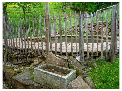 Holiday apartment Infanglalm "Attersee" - Outdoor photo 13