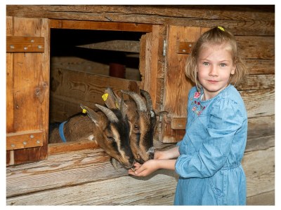 Holiday apartment Infanglalm "Attersee" - Outdoor photo 16
