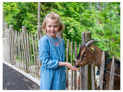 Holiday apartment Infanglalm "Attersee" - Outdoor photo 17