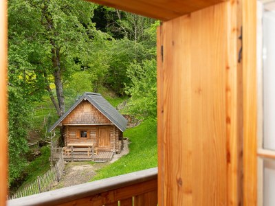 Holiday apartment Infanglalm "Attersee" - Features photo 35