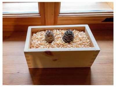 Holiday apartment Infanglalm "Attersee" - Features photo 38