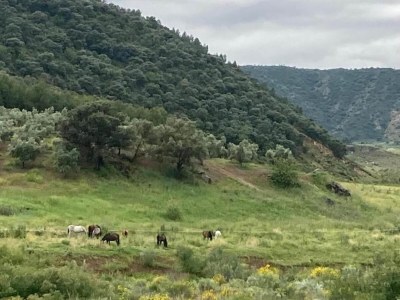 Farmhouse Friedlicher Rückzugsort auf dem Bauernhof - Environment photo 19