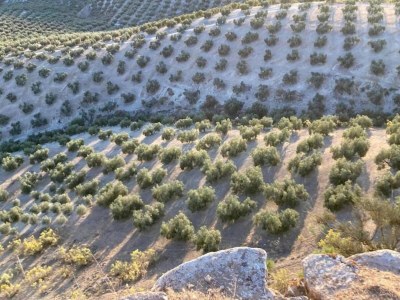 Farmhouse Friedlicher Rückzugsort auf dem Bauernhof - Environment photo 23