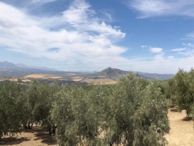 Farmhouse Friedlicher Rückzugsort auf dem Bauernhof - Environment photo 24