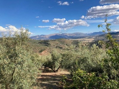 Farmhouse Friedlicher Rückzugsort auf dem Bauernhof - Environment photo 25