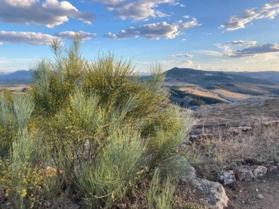 Farmhouse Friedlicher Rückzugsort auf dem Bauernhof - Environment photo 33