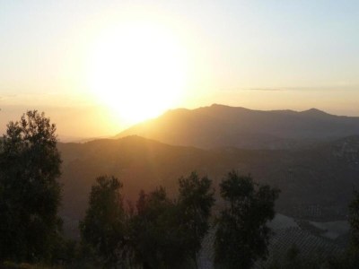 Farmhouse Friedlicher Rückzugsort auf dem Bauernhof - Environment photo 34