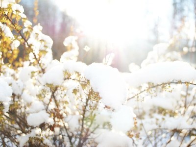 Holiday house Alpingoas - Outdoor photo 36