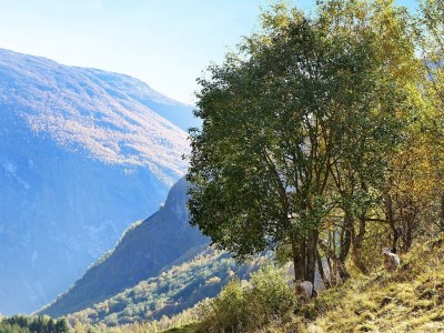 Holiday house 6 Personen Ferienhaus in Øvre Årdal - Outdoor photo 8