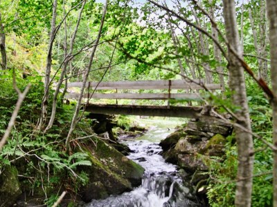 Holiday house 6 Personen Ferienhaus in Øvre Årdal - Outdoor photo 13