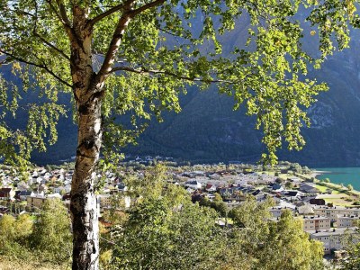 Holiday house 6 Personen Ferienhaus in Øvre Årdal - Outdoor photo 24