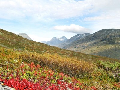 Holiday house 6 Personen Ferienhaus in Øvre Årdal - Outdoor photo 26