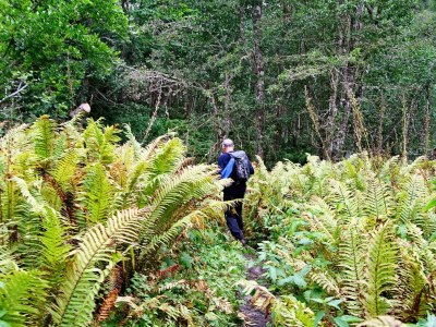 Holiday house 6 Personen Ferienhaus in Øvre Årdal - Outdoor photo 27