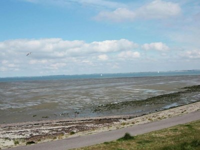 Holiday house Ferienhaus in Kattendijke am Meer - Environment photo 31