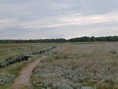 Holiday house 10 Personen Ferienhaus in Hadsund-By Traum - Outdoor photo 32