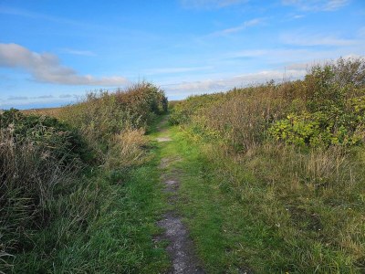 Holiday house Luxury Pool Retreat - By Traum Ferienwohnungen - Outdoor photo 34
