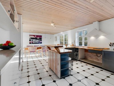 Holiday house 12 Personen Ferienhaus in Nordborg-By Traum - Outdoor photo 7