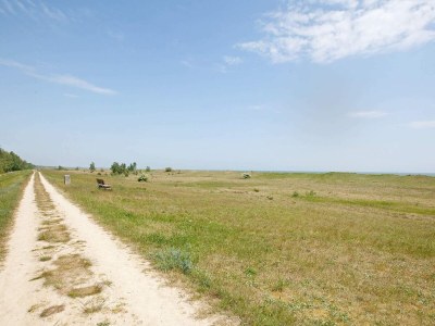 Holiday house Seaside Retreat with Sauna - Outdoor photo 12