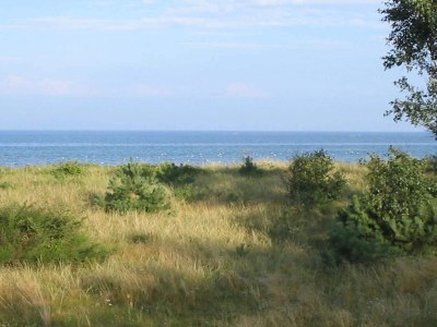 Holiday house Seaside Retreat with Sauna - Outdoor photo 19