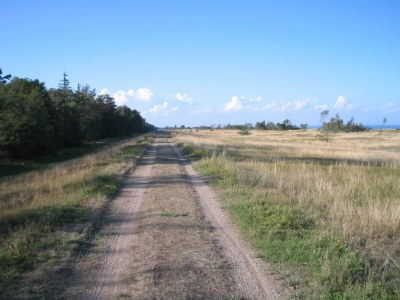 Holiday house Seaside Retreat with Sauna - Outdoor photo 26