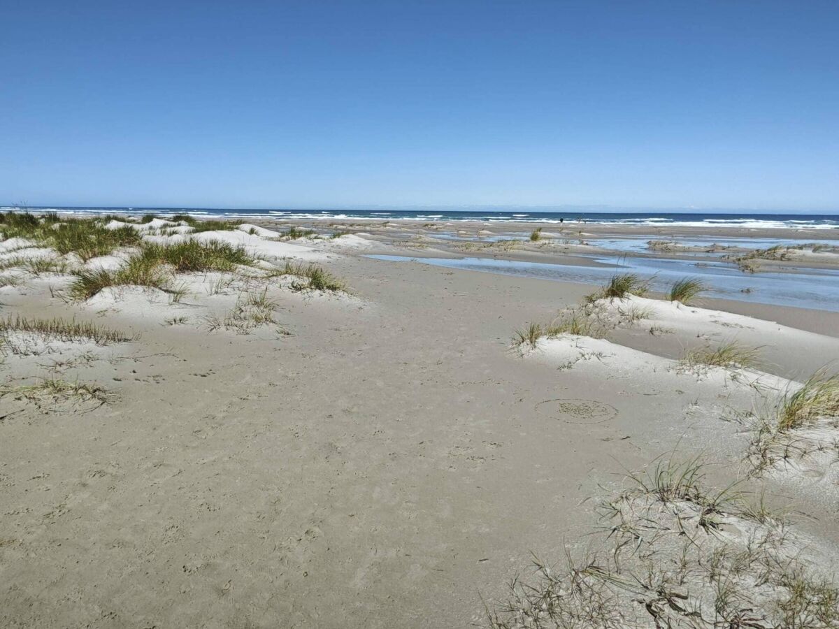 Holiday house 10 Personen Ferienhaus in Ålbæk-By Traum - Outdoor photo 5