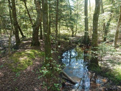 Holiday house 10 Personen Ferienhaus in Ålbæk-By Traum - Outdoor photo 23
